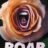 Roar : 1.Sezon 5.Bölüm izle