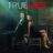 True Lies : 1.Sezon 12.Bölüm izle