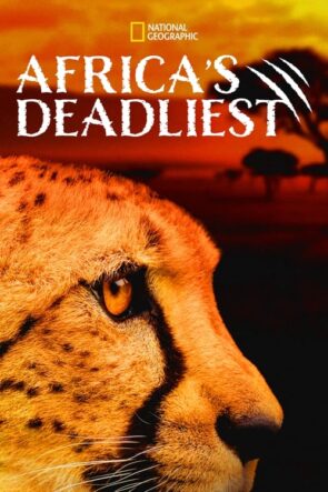 Africa’s Deadliest