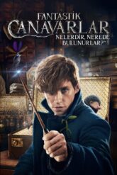 Fantastik Canavarlar [Fantastic Beasts Collection] Serisi izle