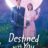 Destined with You : 1.Sezon 14.Bölüm izle