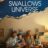 Boy Swallows Universe : 1.Sezon 3.Bölüm izle