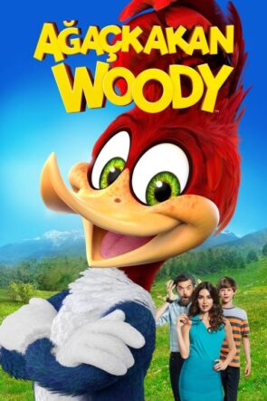 Ağaçkakan Woody (2017)