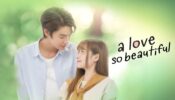 A Love So Beautiful izle