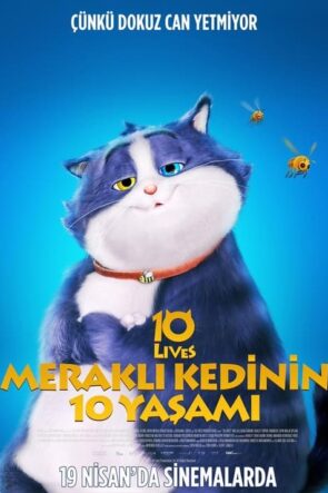 Meraklı Kedinin 10 Yaşamı (2024)