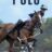 Polo : 1.Sezon 1.Bölüm izle