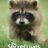 The Secret Lives of Animals : 1.Sezon 6.Bölüm izle